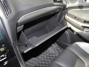 2020EcoBoost 245 (q)ST-Line 7 