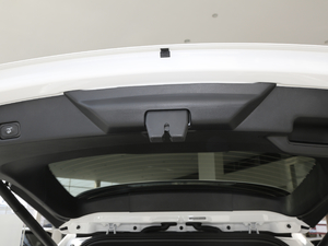 2020EcoBoost 245 ST-Line 7 g