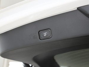 2020EcoBoost 245 ST-Line 7 g