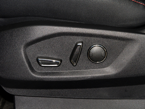 2020EcoBoost 245 ST-Line 5 {{