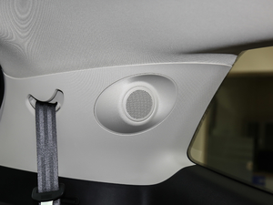 2020EcoBoost 245 JPlus 7 g