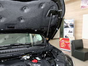 2020EcoBoost 245 JPlus 7 