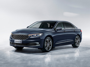 2019EcoBoost 245 Vignale  w^