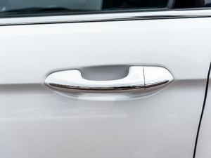 2019EcoBoost 245  {T