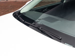 2019EcoBoost 245  ˢ