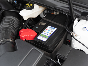 2019款EcoBoost 245 尊享版 其它