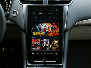 2019EcoBoost 245 Vignale  п؅^