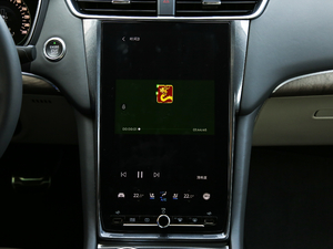 2019EcoBoost 245 Vignale  п؅^