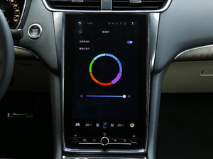 2019EcoBoost 245 Vignale  п؅^