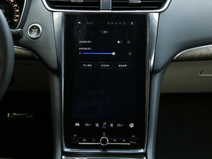 2019EcoBoost 245 Vignale  п؅^