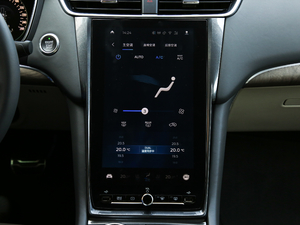 2019EcoBoost 245 Vignale  п؅^