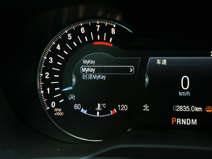 2019EcoBoost 245 Vignale  п؅^