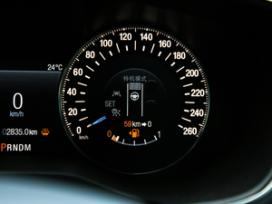 2019EcoBoost 245 Vignale  п؅^