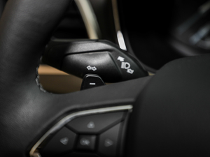 2019EcoBoost 245  п؅^(q)