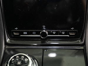 2019EcoBoost 245  {(dio)(ji)