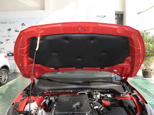 2020款两厢 EcoBoost 180 ST Line 其它