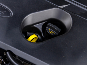 2020 EcoBoost 180 Ԅhҫ 