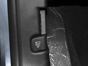 2020EcoBoost 285 \ӰST-LINE 7 g