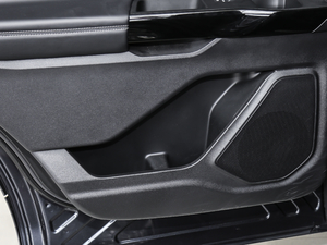 2020EcoBoost 285 ⁽ 6 g