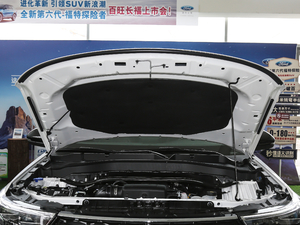 2020EcoBoost 285 (q)L(fng)а 7 