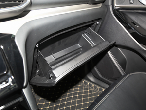 2020EcoBoost 285 (q)L(fng)а 6 