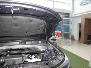 2020EcoBoost 285 (q)L(fng)а 6 