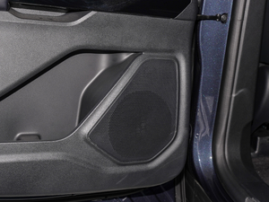 2020EcoBoost 285 ⁽ 7 g