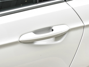 2020EcoBoost 180 r ^