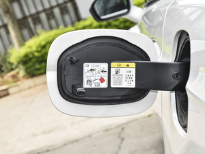 2020EcoBoost 180 r ^