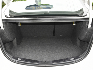 2020EcoBoost 180 r g