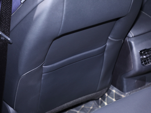 2020EcoBoost 180 r g