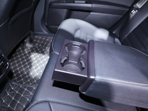 2020EcoBoost 180 r g