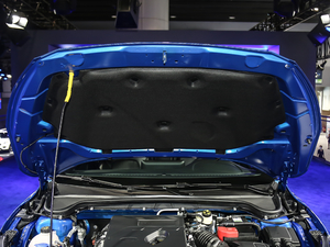 2021 EcoBoost 180 ԄST Line 