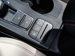 2021 EcoBoost 180 Ԅ(dng)h п؅^(q)