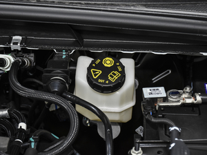 2021 EcoBoost 180 Ԅh 