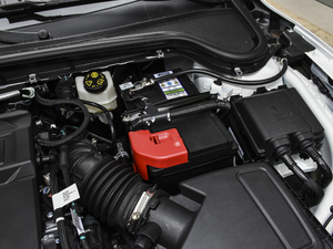 2021 EcoBoost 180 Ԅh 