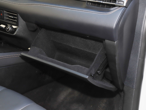 2021PLUS EcoBoost 245 J 7  