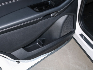 2021PLUS EcoBoost 245 J 7  g