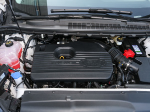 2021PLUS EcoBoost 245 (q)J 7  