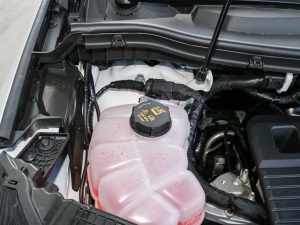 2021PLUS EcoBoost 245 (q)J 7  