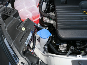 2021PLUS EcoBoost 245 (q)J 7  