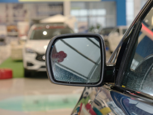 2021PLUS EcoBoost 245 ST-Line 7  ^