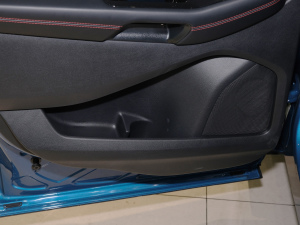 2021PLUS EcoBoost 245 ST-Line 7  g