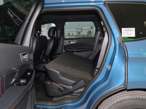 2021PLUS EcoBoost 245 ST-Line 7  ηŵ