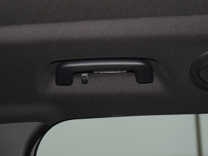 2021PLUS EcoBoost 245 ST-Line 7  g