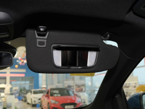 2021PLUS EcoBoost 245 ST-Line 7  g