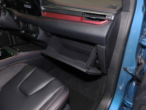 2021PLUS EcoBoost 245 ST-Line 7  