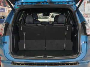 2021PLUS EcoBoost 245 ST-Line 7  g