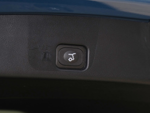 2021PLUS EcoBoost 245 ST-Line 7  g