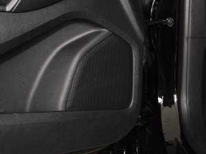 2021PLUS EcoBoost 245 ST-Line 5  g